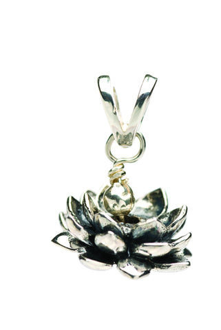 Sold Out | Available for Pre-Order