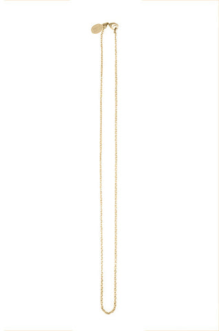 Debra Shepard Gold Chain Necklace - 17